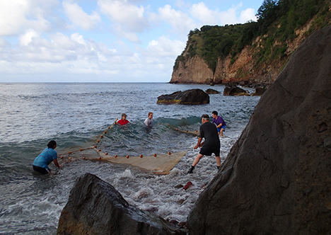 Monserrat students in ocean with net