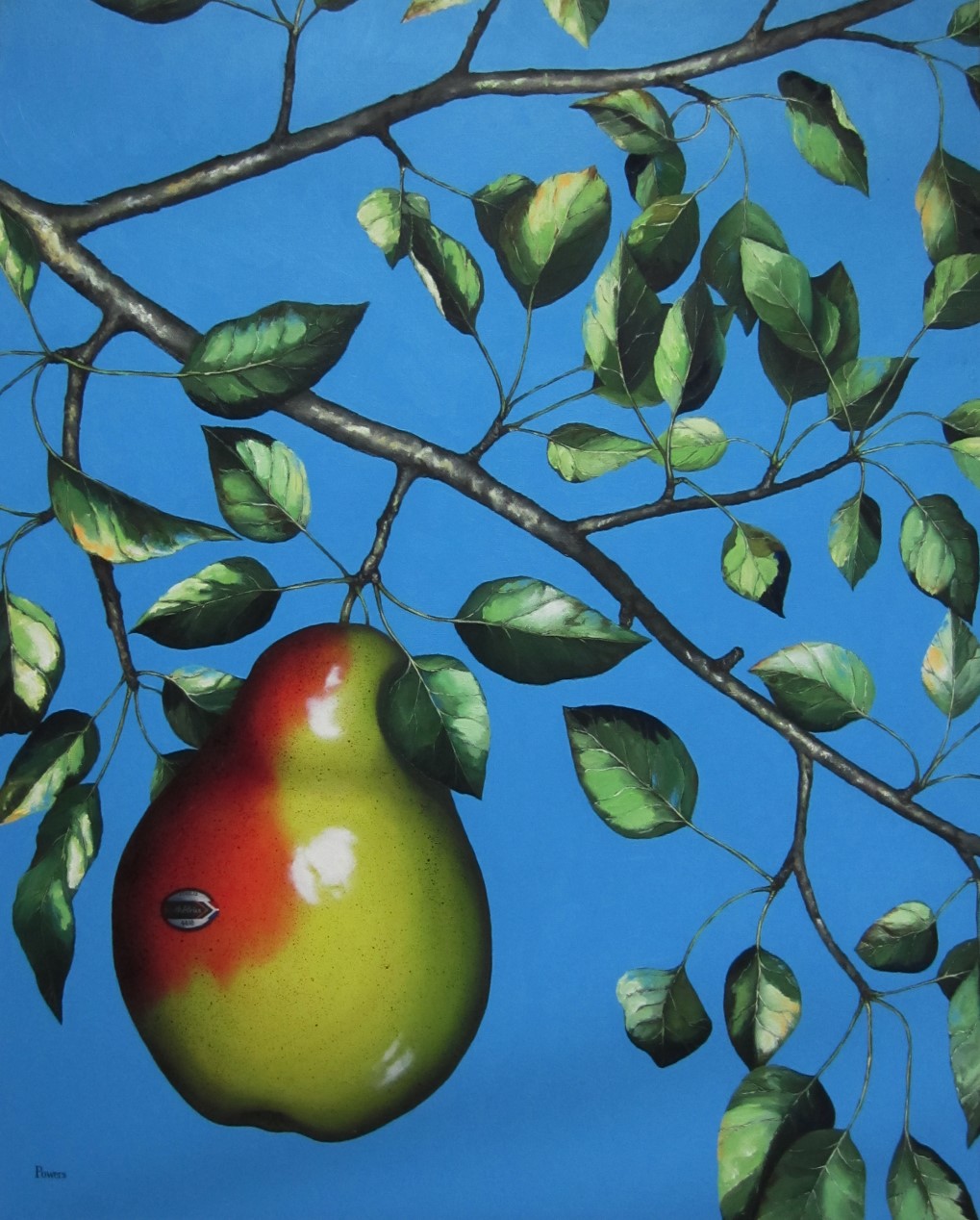 Susan Powers painting, Pear